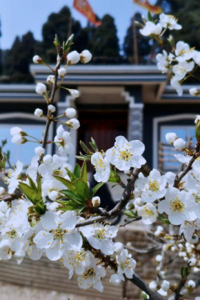 PEACE HOMESTAY